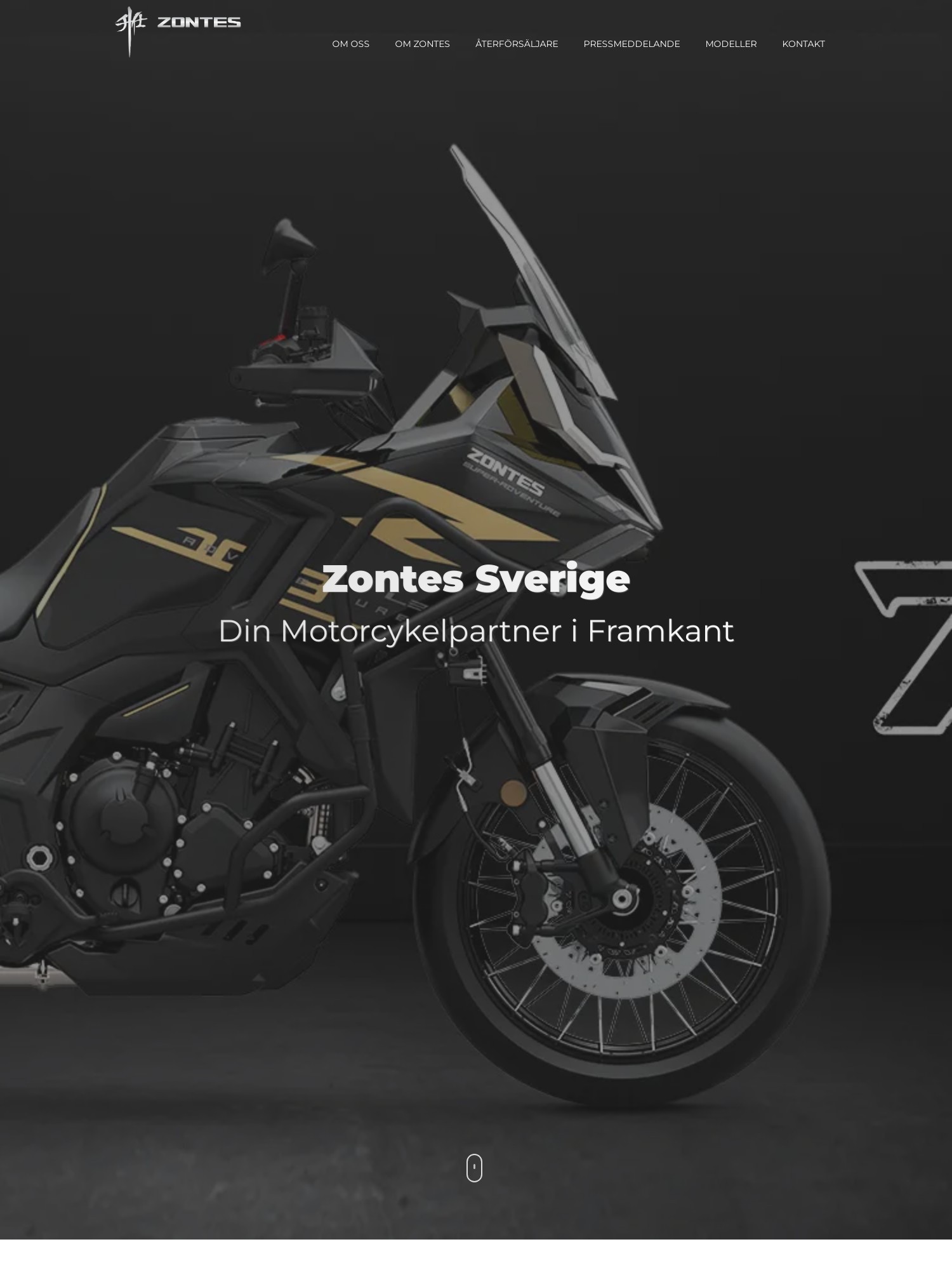zontes.se