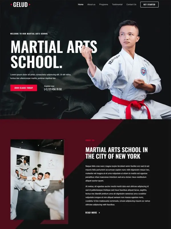 Martial arts