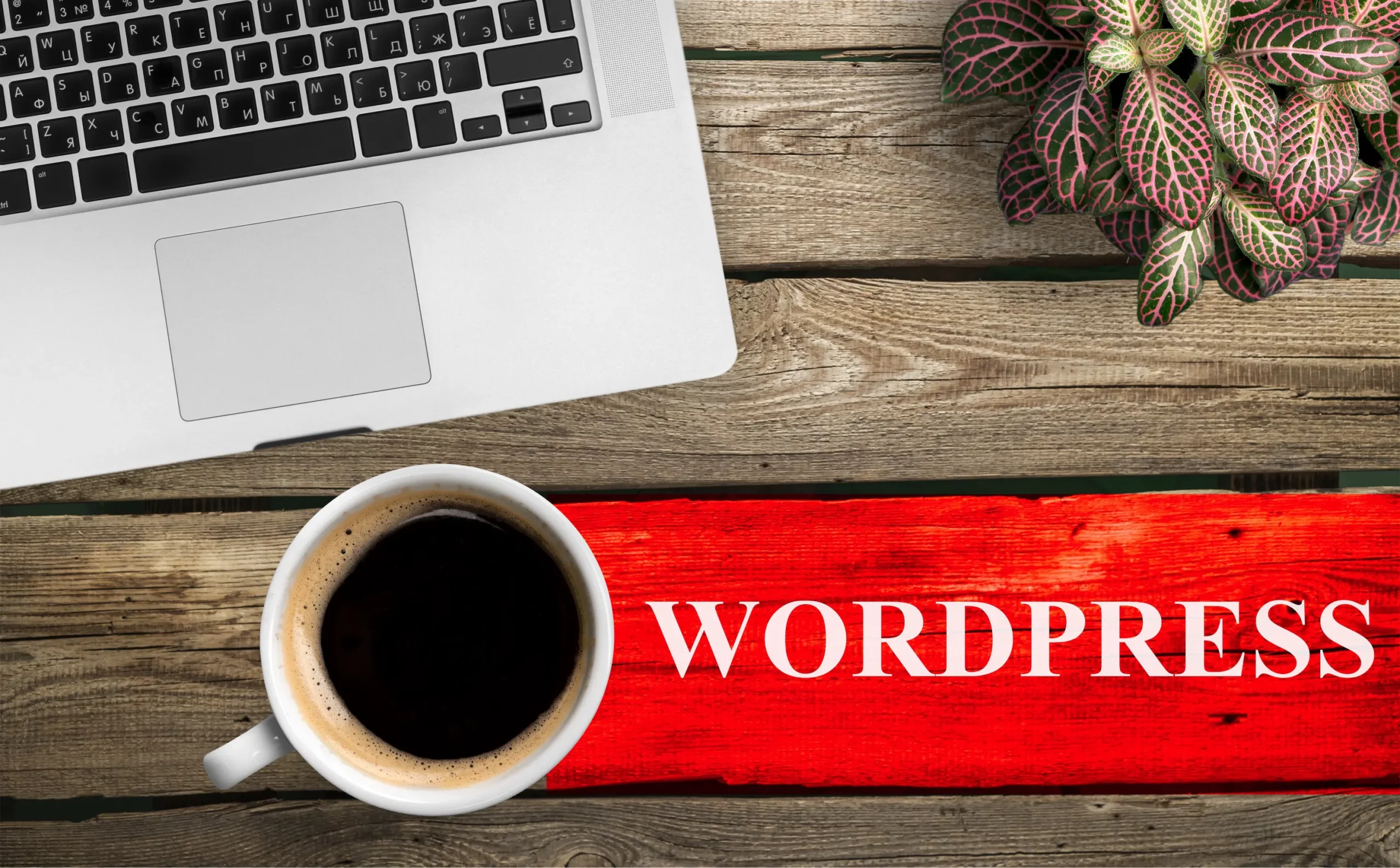 WordPress hemsida