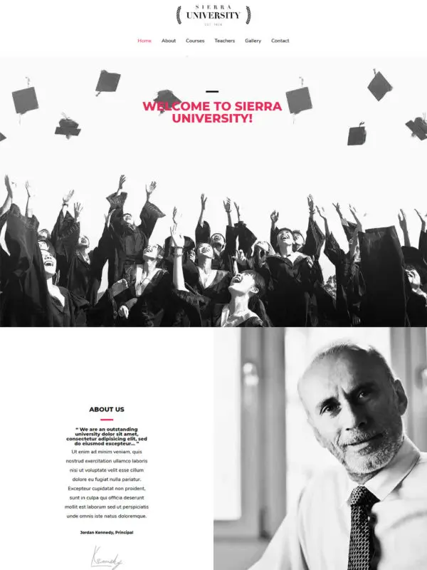 Universitet